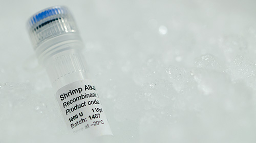 70700-201 Shrimp Alkaline Phosphatase