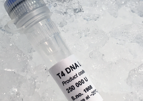 71800-202 T4 DNA Ligase