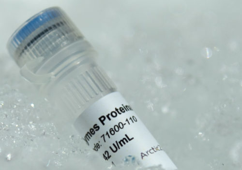 71600-201 ArcticZymes Proteinase