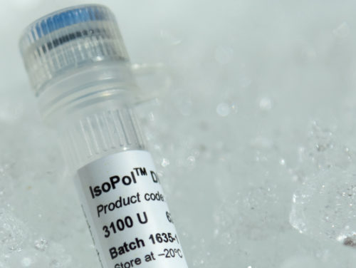 71502-001  IsoPol™ DNA Polymerase